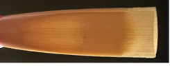 Hand Made Professional Blue Ridge Oboe Reed Hand Made Professional Blue Ridge Oboe Reed